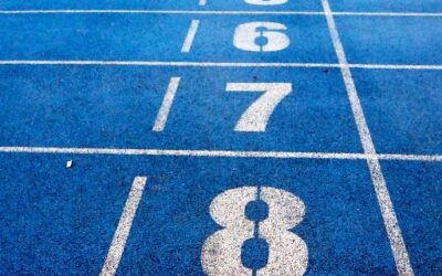 Reflective Report on Recent Athletics Meet