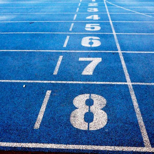 Reflective Report on Recent Athletics Meet